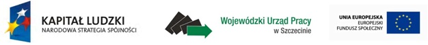 Logo - EFS - Partnerstwo 6.1.2 POKL - Piramida kompetencji