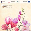 slider.alt.head Zapraszamy do udziału w konkursie Zachodniopomorskie Magnolie EFS